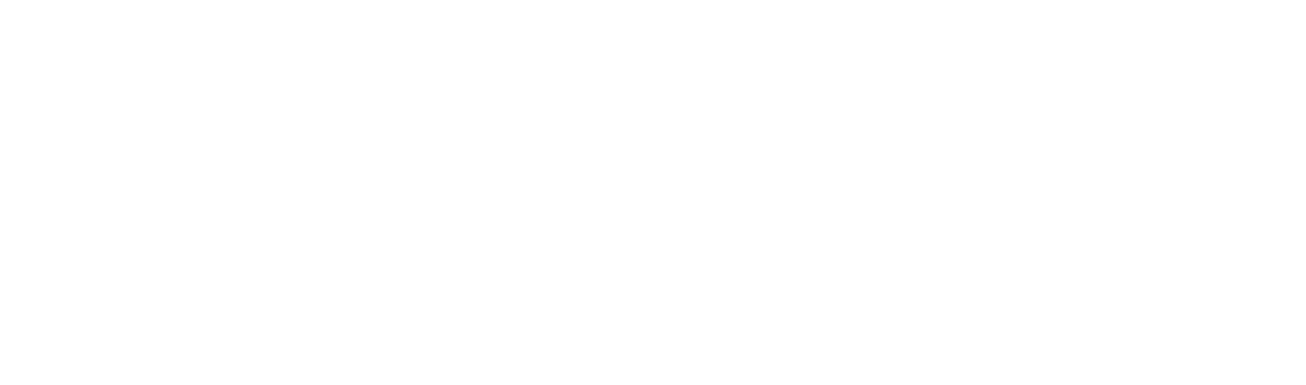 Aurelion IT Solutions